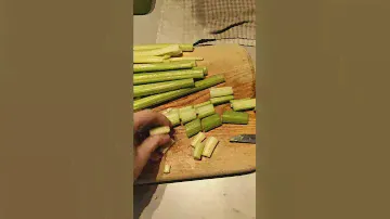 sencor low-speed juicer