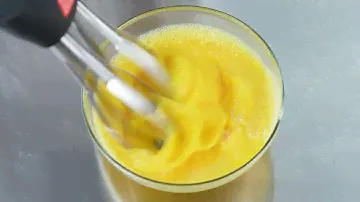 Погружные блендеры FOODPRO